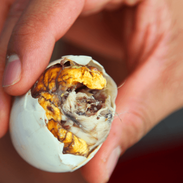 Balut: The Surprising Delights of the Philippines Famous Egg Delicacy