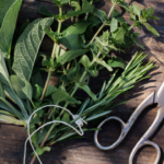 The Ultimate Guide to Enhancing Your Recipes with Dried Herbs