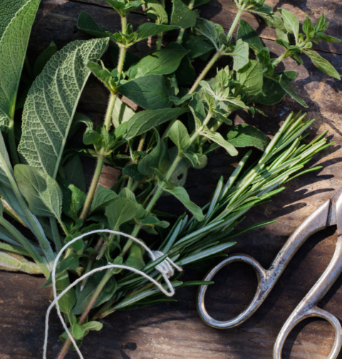 Unlock the Power of Fresh Herbs in Your Kitchen Today!