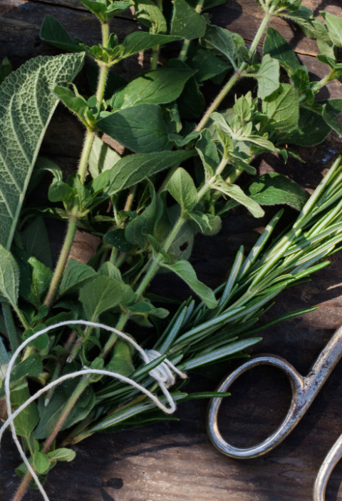 Unlock the Power of Fresh Herbs in Your Kitchen Today!