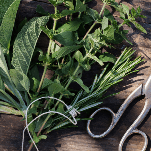 Unlock the Power of Fresh Herbs in Your Kitchen Today!
