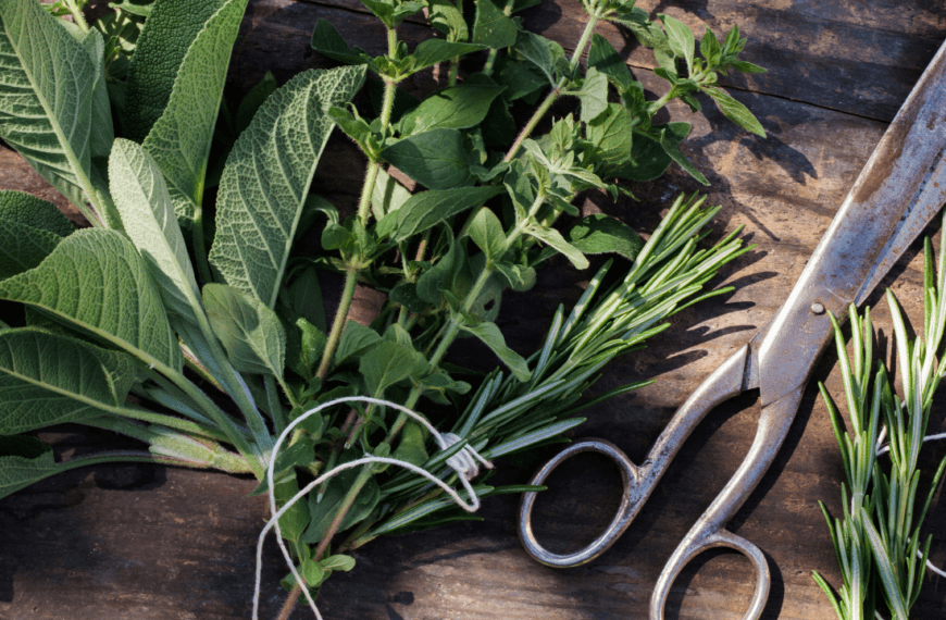 Unlock the Power of Fresh Herbs in Your Kitchen Today!