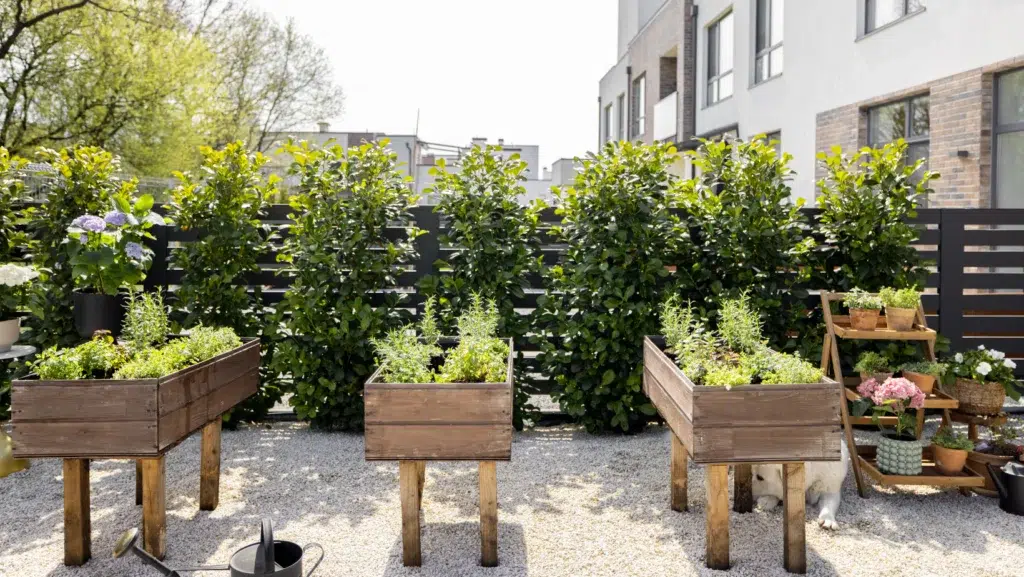 Home Vegetable Garden with Fresh Herbs