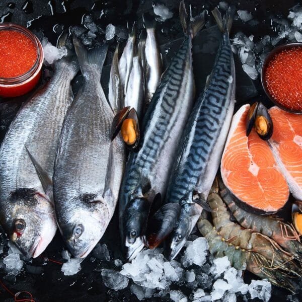 Sustainable Seafood feature