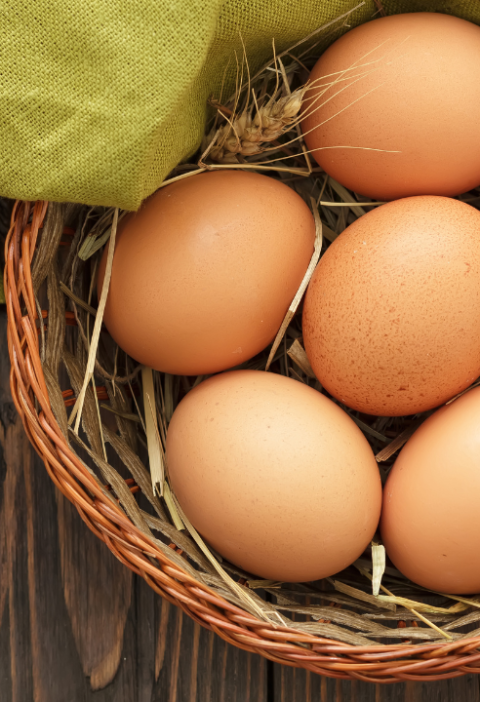 Revealing the Magic of Eggs in Worldwide Cuisine