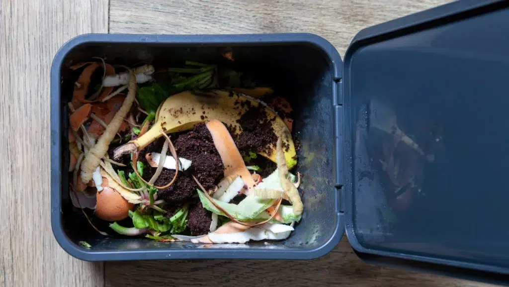 Composting Kitchen Scraps - Eco-Friendly Kitchen Habits