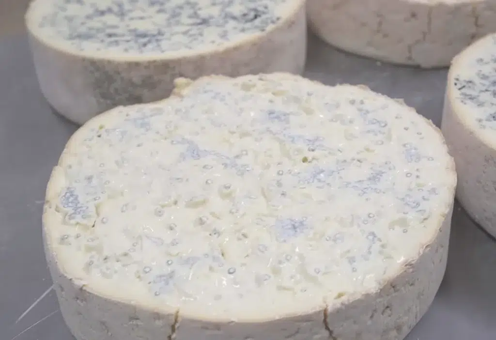 Italian Gorgonzola Cheese