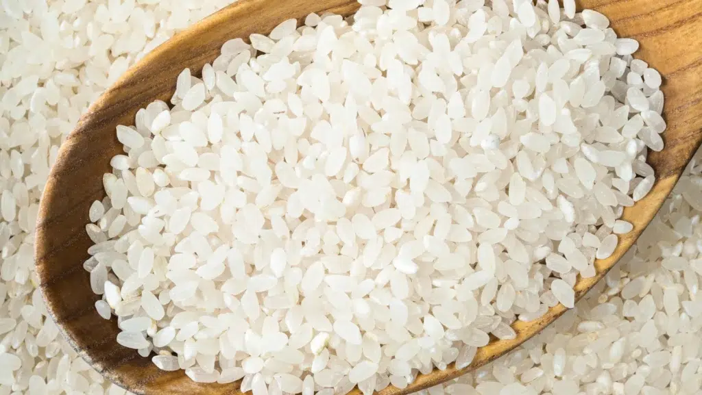 medium-grain polished rice in wooden spoon closeup