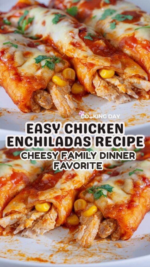 Easy Chicken Enchiladas Recipe – Cheesy Family Dinner Favorite